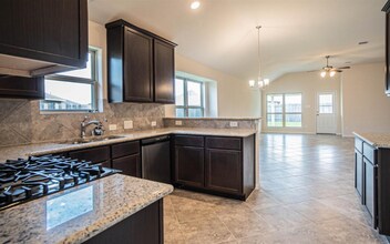 3806 E Briarlilly Park Cir in Katy, TX - Building Photo - Building Photo
