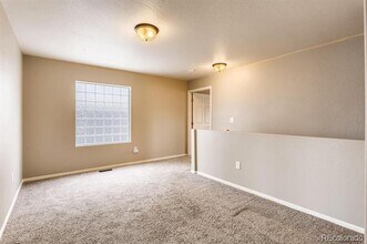 2258 Quartz St in Castle Rock, CO - Building Photo - Building Photo
