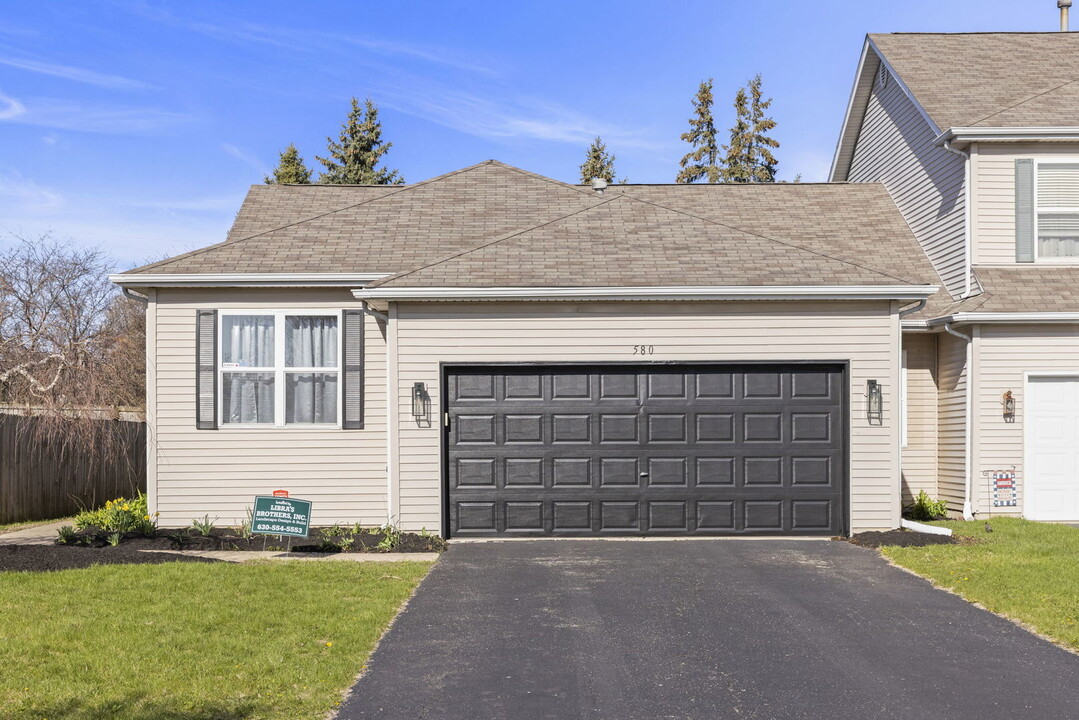 580 Chestnut Dr in Oswego, IL - Building Photo
