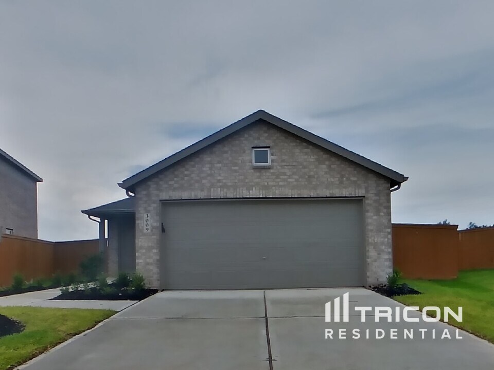 3009 Dawn Sound Dr in Park Row, TX - Building Photo