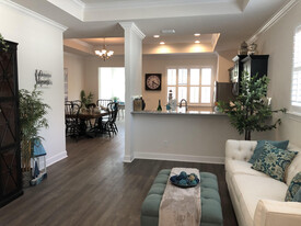 The Oasis at Hunter's Ridge 55+ in New Port Richey, FL - Building Photo
