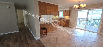 11 Wayside Rd in Asheville, NC - Building Photo - Building Photo