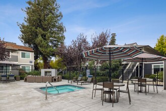 Sofi Berryessa in San Jose, CA - Foto de edificio - Building Photo