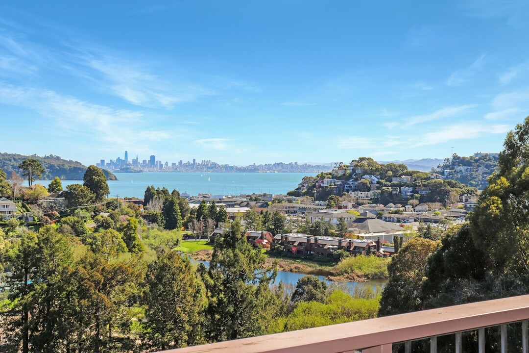 40 Harbor Oak Dr in Tiburon, CA - Building Photo