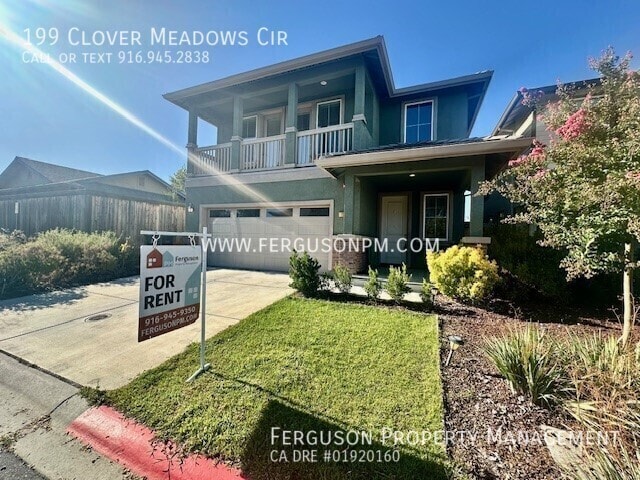 199 Clover Meadows Cir in Lincoln, CA - Building Photo - Building Photo