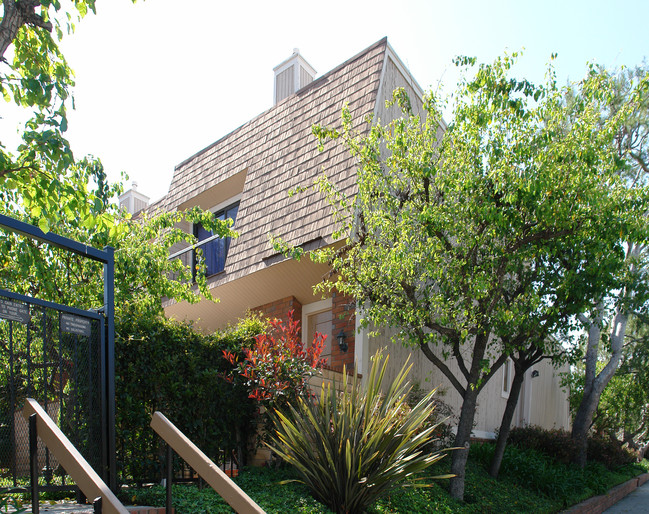 4339 Alla Rd in Los Angeles, CA - Building Photo - Building Photo