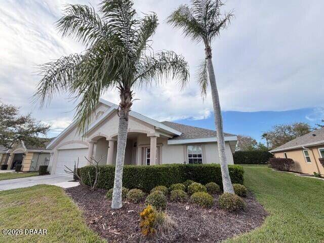 property at 1459 Areca Palm Dr