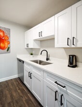 The Dexter Apartments in Denver, CO - Building Photo - Building Photo