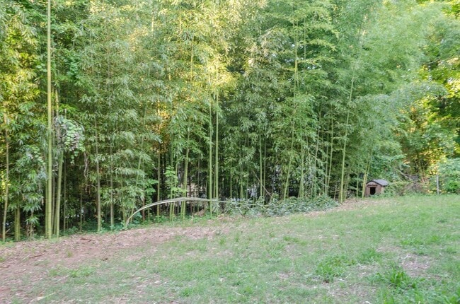 1233 Cheshire Ave in Charlotte, NC - Building Photo - Building Photo