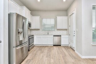 1015 Vista View Dr in Georgetown, TX - Building Photo