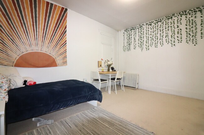 238 Hemenway St, Unit 9 in Boston, MA - Building Photo - Building Photo