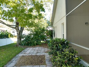 8042 Tabby Ln in Maitland, FL - Building Photo - Building Photo