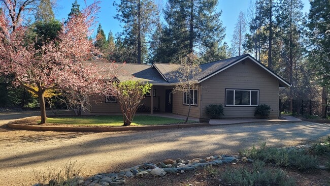 property at 18449 Shasta Dam Way