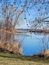 710 Catskill St in Richland, WA - Foto de edificio - Building Photo