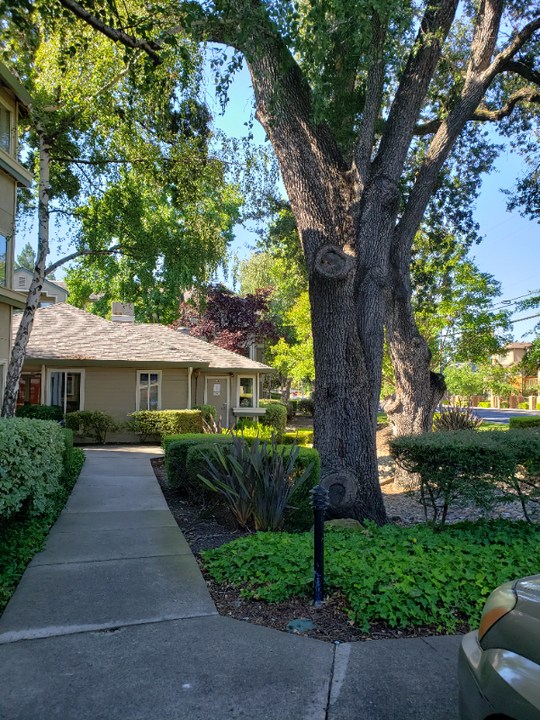 2560 Oak Rd in Walnut Creek, CA - Building Photo