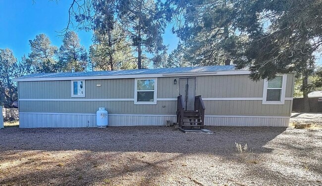 1001 E Owens in Show Low, AZ - Building Photo - Building Photo