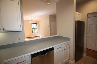 11 Worcester St, Unit 2 in Boston, MA - Building Photo - Building Photo