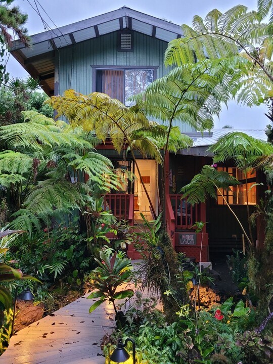 16-1949-1949 King Kamehameha Dr in Pahoa, HI - Building Photo