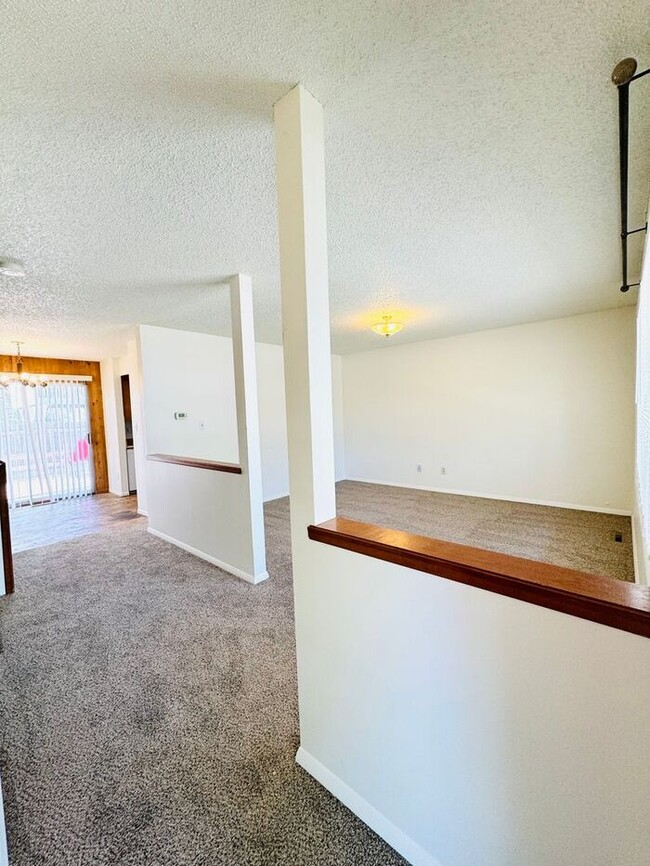 21 Rochester Dr in Windsor, CO - Building Photo - Building Photo