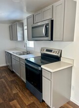 211 Landsdowne St in Blacksburg, VA - Foto de edificio - Building Photo