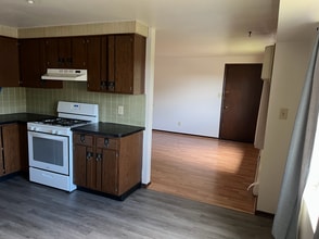 313 Central Ave, Unit 1 in Lancaster, NY - Building Photo - Building Photo