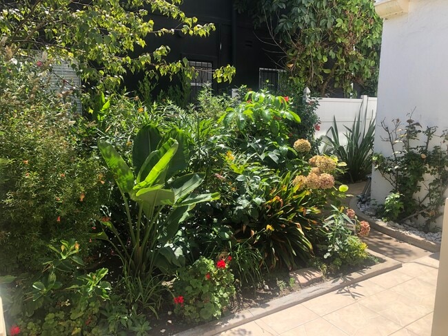 4269 McClung Dr, Unit 4269 in Los Angeles, CA - Building Photo - Building Photo
