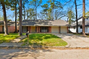 23007 Whispering Willow Dr in Spring, TX - Building Photo