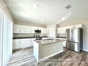 34126 Scarlet Sage Ct in Wesley Chapel, FL - Building Photo - Building Photo