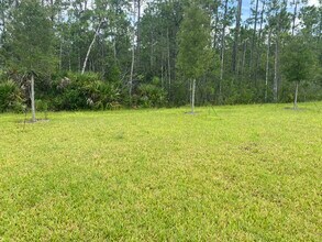 1347 Belle Isle Ln in Daytona Beach, FL - Building Photo - Building Photo