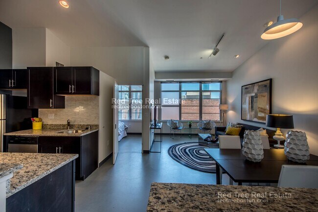 160 E Berkeley St, Unit 304 in Boston, MA - Foto de edificio - Building Photo