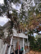 508 12th Ave N in St. Petersburg, FL - Building Photo - Building Photo