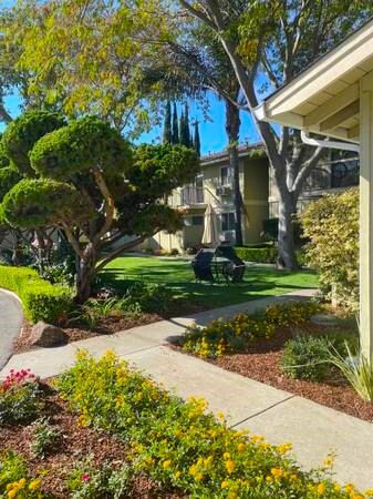 Rose Court Apartments in Campbell, CA - Building Photo - Building Photo