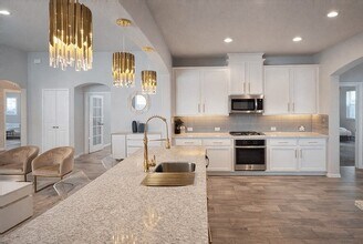 12007 Benedetto Ct in Richmond, TX - Building Photo - Building Photo