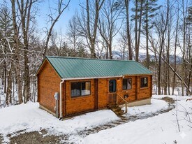 66 Peggy's Ln in Townshend, VT - Building Photo