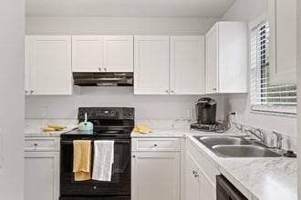 2560 W Bird St in Tampa, FL - Building Photo - Building Photo