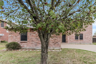 1009 Burnet Dr in Mesquite, TX - Foto de edificio - Building Photo