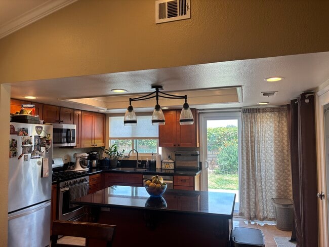 252 Novina Pl in Camarillo, CA - Building Photo - Building Photo
