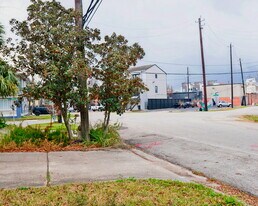 2909 Albany St in Houston, TX - Building Photo