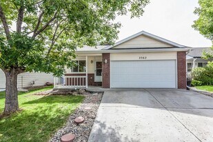 2362 Calcite St in Loveland, CO - Building Photo