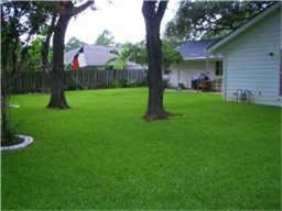 5135 Indigo St in Houston, TX - Building Photo - Building Photo