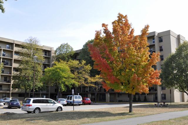 Knollwood Towers West Apartments
