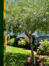 763 Columbus Pky in Buffalo, NY - Building Photo - Building Photo