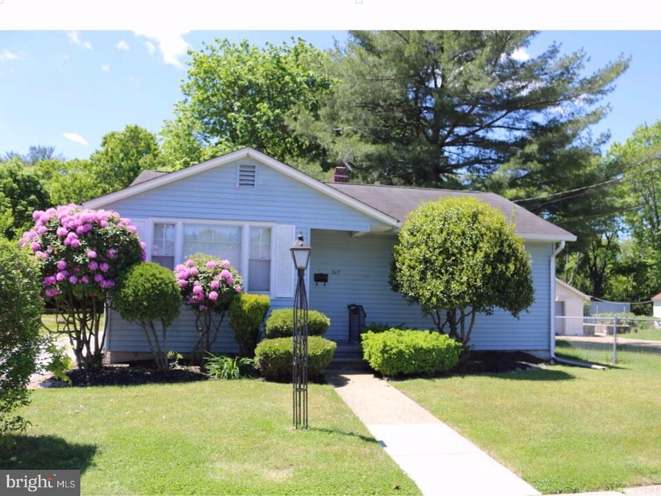 217 Laurel Ave in Glassboro, NJ - Building Photo