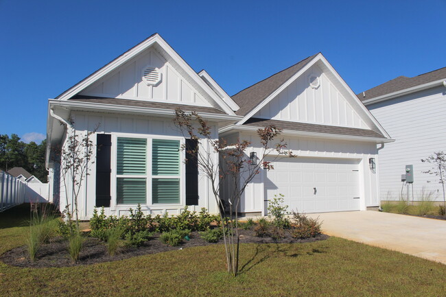 303 Piper Cv in Santa Rosa Beach, FL - Building Photo - Building Photo