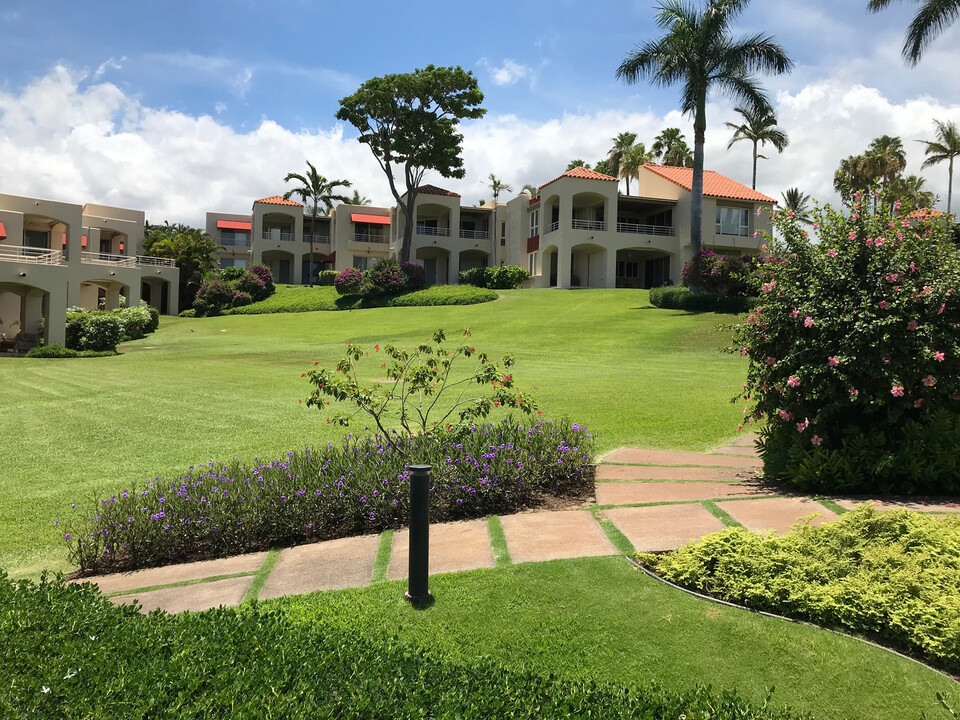 3150 Wailea Alanui Dr in Kihei, HI - Building Photo