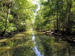 217 S Tuck Point in Inverness, FL - Building Photo - Building Photo
