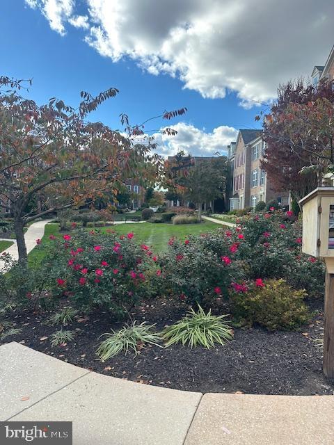 property at 5012 Cameo Terrace