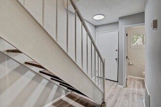 220 Elizabeth St in Chapel Hill, NC - Building Photo - Building Photo