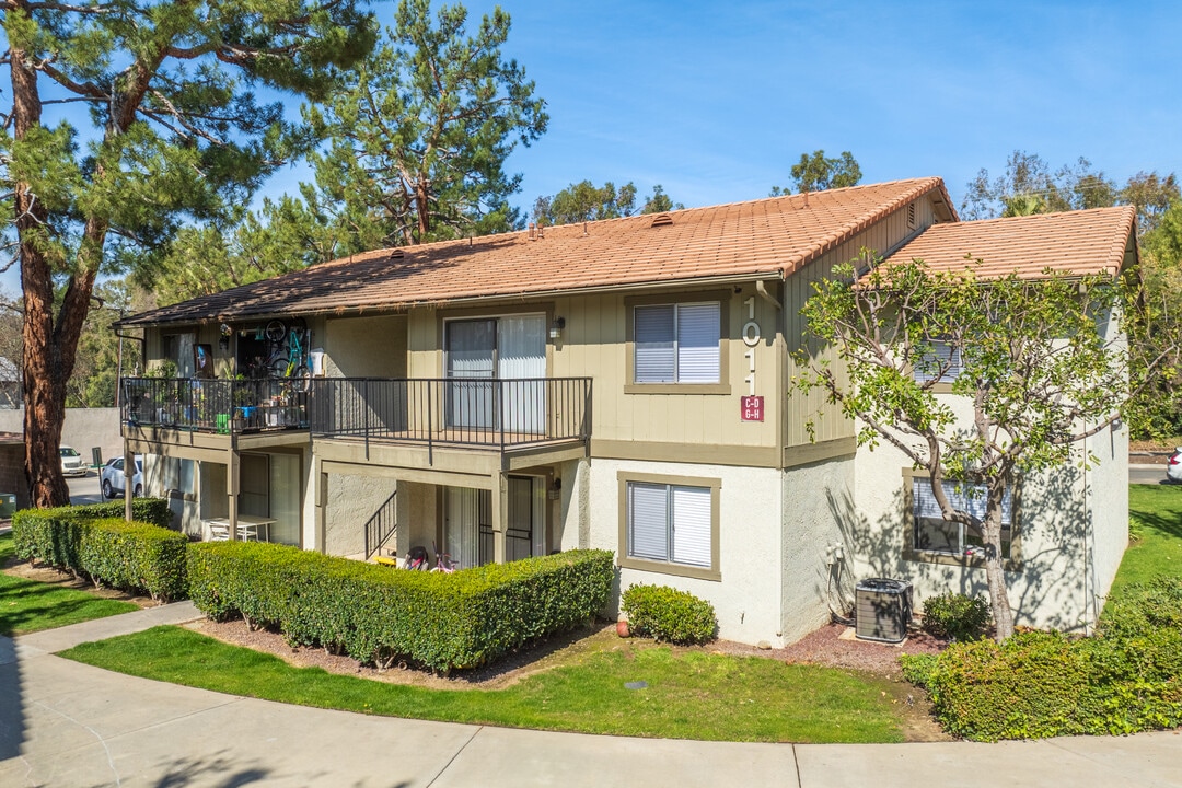 The Colony in Redlands, CA - Building Photo