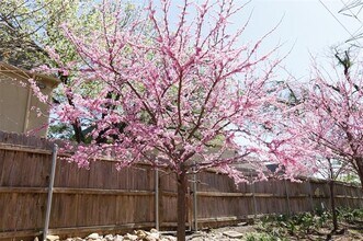 4044 Buena Vista St in Dallas, TX - Building Photo - Building Photo